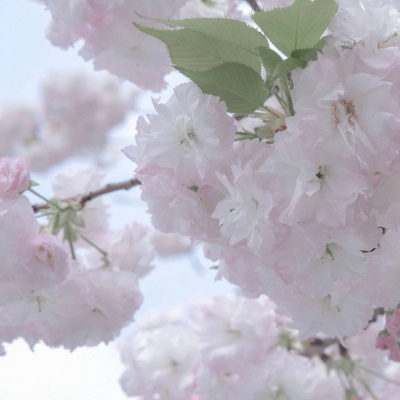 Furry赛博风格设计技巧福瑞交流群